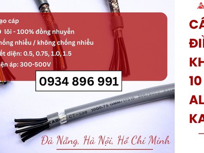 Cáp Tín Hiệu Chống Nhiễu 10x0.75 mm  Phân Phối Tại Đà Nẵng, Nghệ An 0