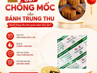 7 Bí Quyết Chống Mốc Hiệu Quả Cho Bánh Trung Thu 0