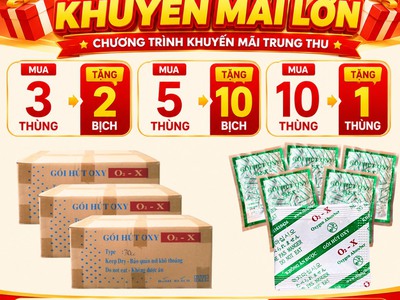 7 Bí Quyết Chống Mốc Hiệu Quả Cho Bánh Trung Thu 1