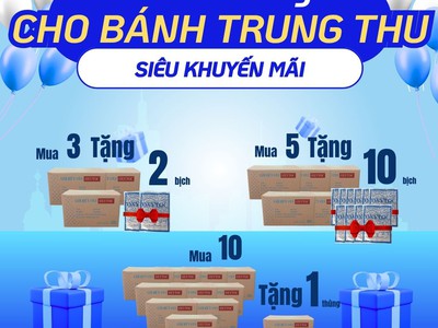 Túi hút oxy - oxytoc bảo quản bánh trung thu 3