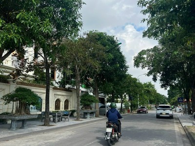 Bán đất biệt thự khu Trường An, mặt đường Trần Nguyên Đán, TP HD, 250m2, mt 12.5m 0