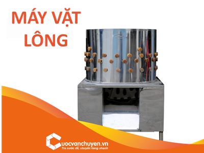 Thủ Tục Nhập Khẩu Máy Vặt Lông Gia Cầm 0