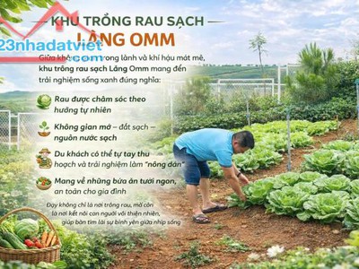 Đất nghĩ dưỡng view hồ làng OMM Bảo Lộc chỉ 1.5 tỷ 4