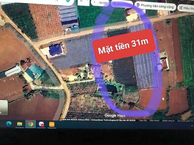 Bán 3120m2 đất xã tân hội đức trọng lâm đồng 4,2 tỷ 0