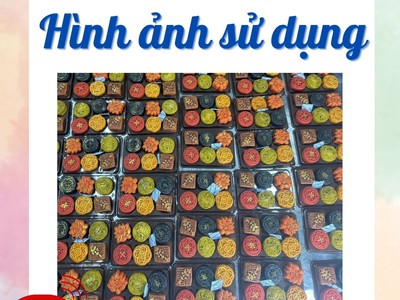 Chống mốc bánh trung thu có thể thiếu gói OXYTOC không 0