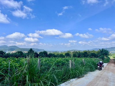 Bán Đất Nam Ban 502m  Thổ Cư 200m    View Toàn Cảnh Nam Ban, Ngắm Trọn Tượng Phật Bà Từ Thế Đất Đẹp 1