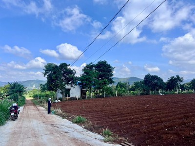 Bán Đất Nam Ban 502m  Thổ Cư 200m    View Toàn Cảnh Nam Ban, Ngắm Trọn Tượng Phật Bà Từ Thế Đất Đẹp 2