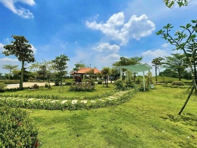 Cần chuyển nhượng gấp 4 huyệt mộ tiêu chuẩn tại bồng lai viên - đức hòa, long an 1