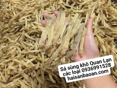 Cần bán sá sùng quảng ninh giá tốt 0