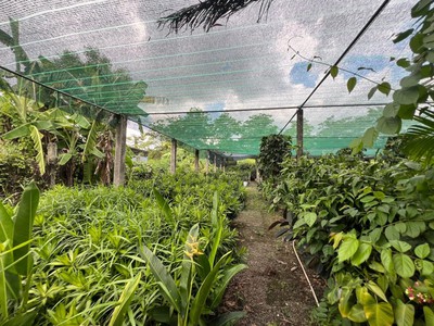Bán gấp đất lô góc mt nguyễn duy trinh- long trường q9- 5864m2 ful tc -chỉ 598 tỷ 4