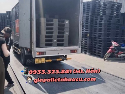 Xả Kho Giá Sốc: Pallet Nhựa Tại Bình Dương 4