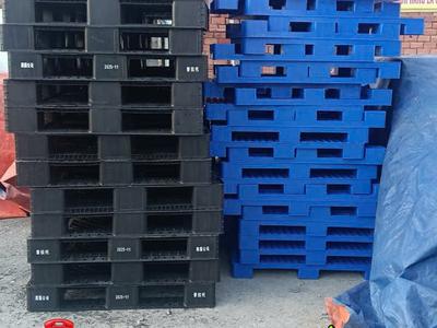 Xả Kho Giá Sốc: Pallet Nhựa Tại Bình Dương 7
