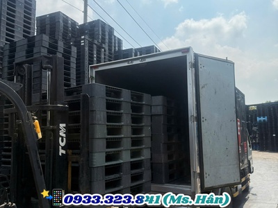 Xả Kho Giá Sốc: Pallet Nhựa Tại Bình Dương 9