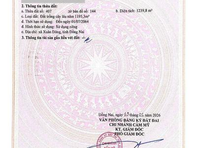 Bán đất thổ cư, cln xã xuân đông, tp đồng nai. 2