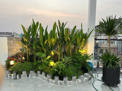 Hàng Hiếm Quận 11 , Nhà Mới Thang Máy, Full Nội Thất 7