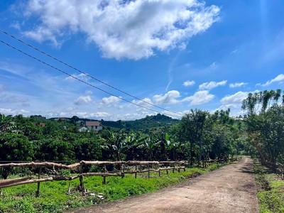 Bán Đất Nam Hà 1.000m  Hai Mặt Tiền   Có Sẵn Cà Phê Thu Hoạch, Không Gian Xanh Ven Đà Lạt 0