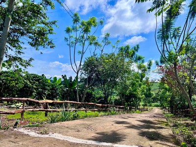 Bán Đất Nam Hà 1.000m  Hai Mặt Tiền   Có Sẵn Cà Phê Thu Hoạch, Không Gian Xanh Ven Đà Lạt 1