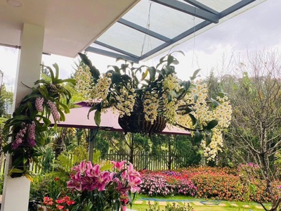 Cho thuê villa sân vườn 12 phòng ngủ gần đèo pren đà lạt 35tr/tháng 1