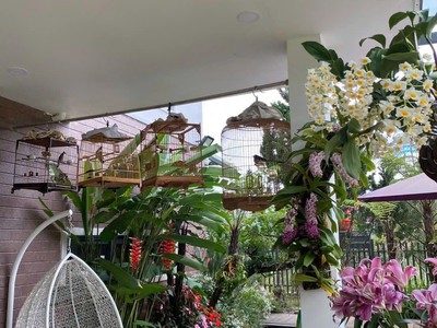 Cho thuê villa sân vườn 12 phòng ngủ gần đèo pren đà lạt 35tr/tháng 3