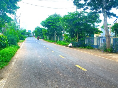 Mặt tiền nhựa dh1, n thôn hạ, đức trọng cũ, lâm đồng xã tân hội mới 0