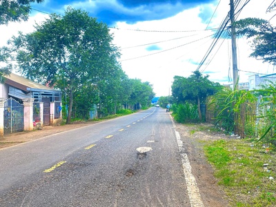 Mặt tiền nhựa dh1, n thôn hạ, đức trọng cũ, lâm đồng xã tân hội mới 2