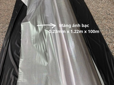 Cực phẩm màng pvc ánh bạc - sẵn kho số lượng lớn 1
