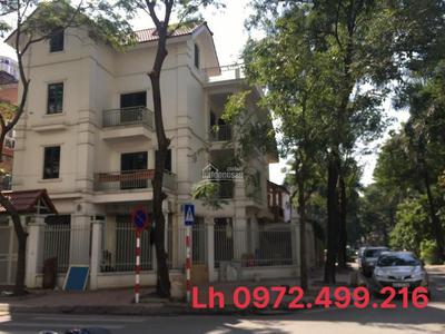 Bán Gấp biệt thự KĐT Mễ Trì Hạ - trung tâm Nam Từ Liêm, 175m2 x 3 tầng, 70 tỷ 3