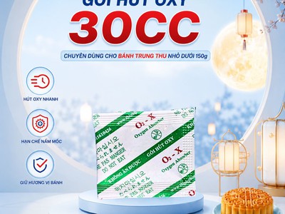 5 Cách Chống Mốc Bánh Trung Thu Dẻo Hiệu Quả Bất Ngờ 0