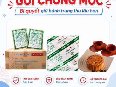 5 Cách Chống Mốc Bánh Trung Thu Dẻo Hiệu Quả Bất Ngờ 9
