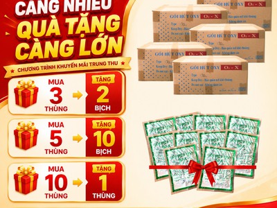 5 Cách Chống Mốc Bánh Trung Thu Dẻo Hiệu Quả Bất Ngờ 10