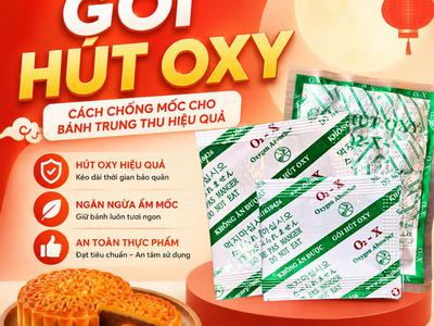 5 Cách Chống Mốc Bánh Trung Thu Dẻo Hiệu Quả Bất Ngờ 12