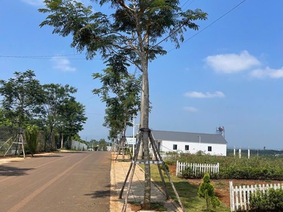 Bán Đất Ven Đà Lạt CHỈ 789 TRIỆU / 140m 1