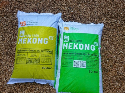  Bao Đựng Đất Sạch 20dm3, 30dm3, 40dm3, 50dm3   Thiết Kế Miễn Phí, In Nhanh Giá Xưởng 3