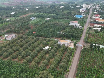 Siêu phẩm nhà vườn sầu riêng 7.6 sào doanh thu khủng có sẵn 3 sổ đỏ 4