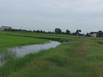 Chính chủ bán đất 2 mặt tiền xã đức lập tây ninh 1678m2 sổ hồng riêng chỉ 7 ty 900 tr 4