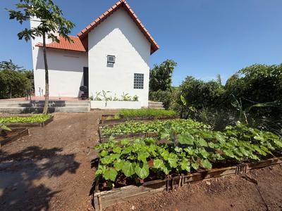 Chỉ từ 3.1 tỷ sở hữu ngay lô đất 400m2 mặt tiền tại Greenery House Bà Rịa Vũng Tàu 3