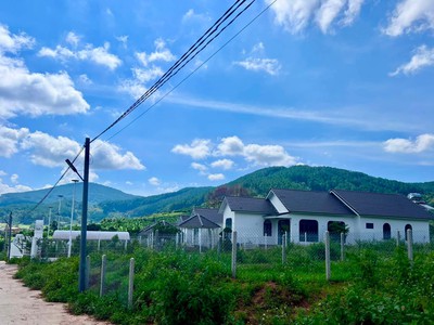 Bán Đất Nền An Sơn Villas 239m Thổ Cư 150m Cơ Hội Đầu Tư Giá Tốt Tại Khu Nghỉ Dưỡng Ven Đà Lạt 1