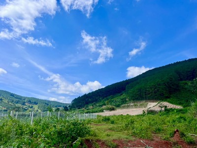 Bán Đất Nền An Sơn Villas 239m Thổ Cư 150m Cơ Hội Đầu Tư Giá Tốt Tại Khu Nghỉ Dưỡng Ven Đà Lạt 2