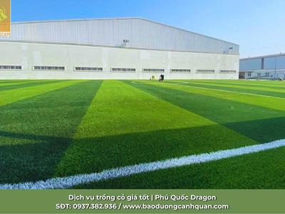 Trồng Cỏ ở Kcn Biên Hòa, AMATA Đồng Nai, TP.HCM 0