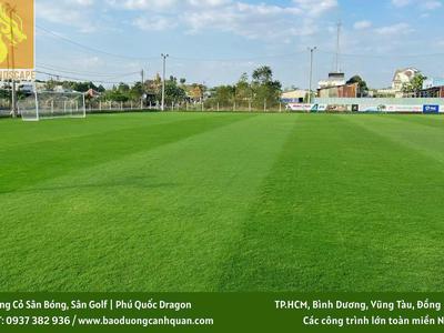 Trồng Cỏ ở Kcn Biên Hòa, AMATA Đồng Nai, TP.HCM 1
