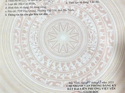 Đất trung tâm bích động cơ hội đầu tư và an cư hiếm có- trung tâm bích động, việt yên, bắc ninh 0