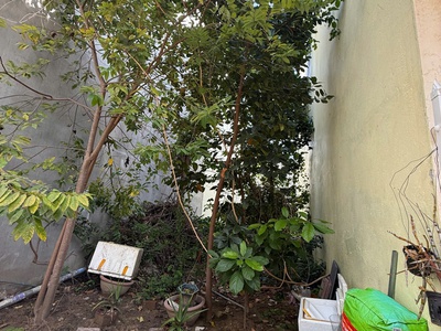 Bán đất gần biển phường bắc nha trang 2