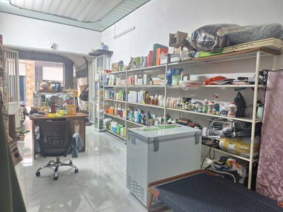 Bán đất mặt ngõ thông oto đỗ cửa 165m2 Đằng Hải, Hải An làm nhà vườn giá chỉ 3x tr/m 1