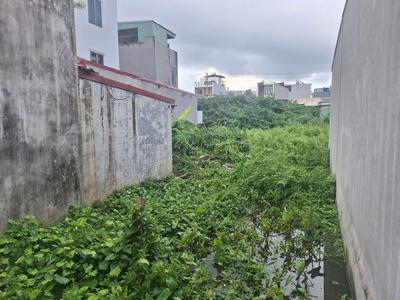 Bán đất mặt ngõ thông oto đỗ cửa 165m2 Đằng Hải, Hải An làm nhà vườn giá chỉ 3x tr/m 3