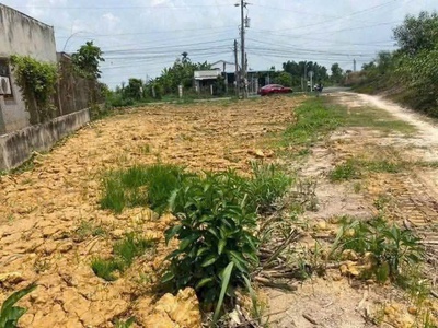 253m  thổ cư 100   bàu công, ấp lập điền, tân mỹ, đức hòa, long an  tây ninh mới 0