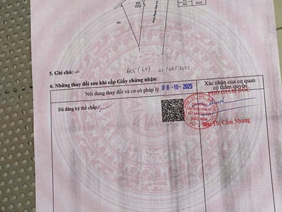 253m  thổ cư 100   bàu công, ấp lập điền, tân mỹ, đức hòa, long an  tây ninh mới 2