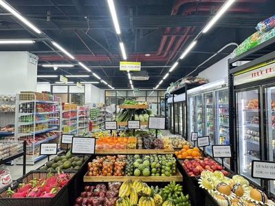 Sọt trưng bày trái cây hoa quả 4