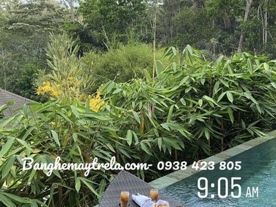Khay nổi đồ ăn mây nhựa 1