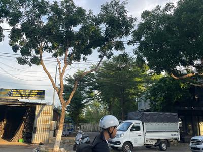 Bán đất ngang 6m mặt tiền Nguyễn Văn Tỵ, Hòa Xuân, Đà Nẵng 1