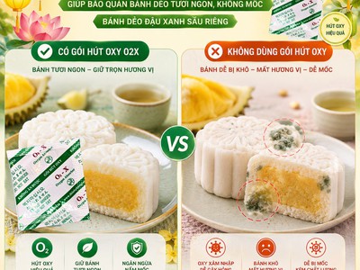 Cách Hạn Chế Nguy Cơ Mốc Bánh Trung Thu Hiệu Quả Hiện Nay 15